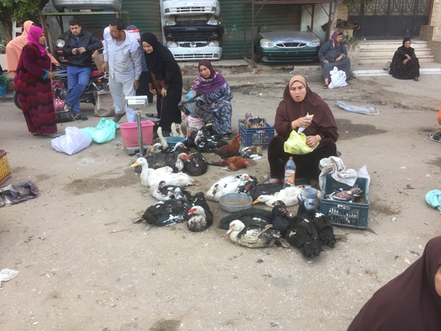 D10045BE-5FBF-473F-8226-27116A6543B8