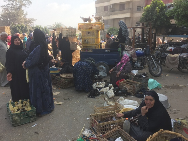 ADA7A947-438C-4CDA-A589-62A22910CA31