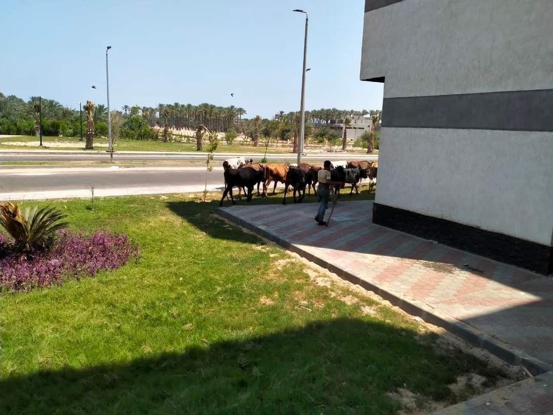 FB_IMG_1661362066112