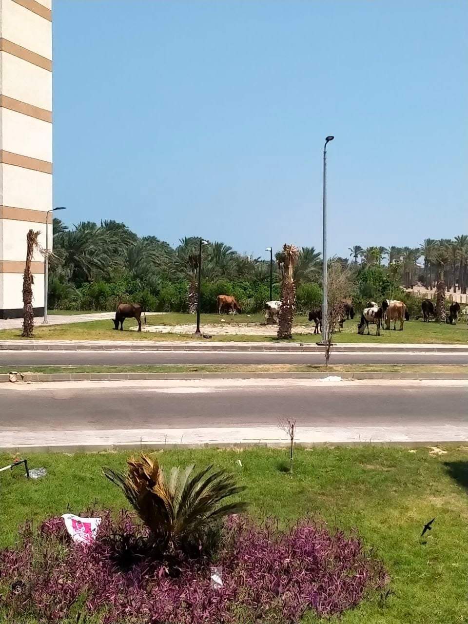 FB_IMG_1661362063624