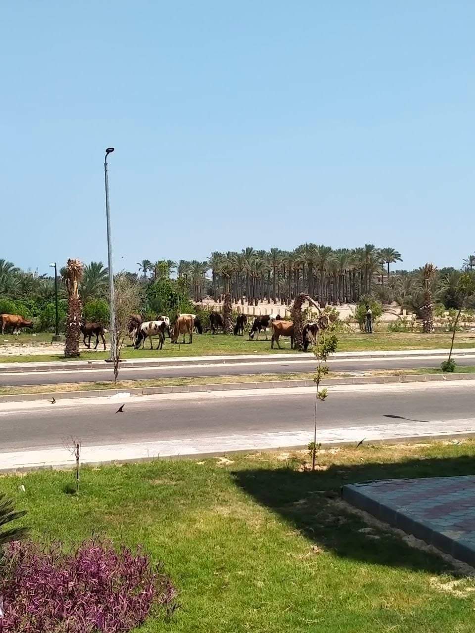 FB_IMG_1661362058328