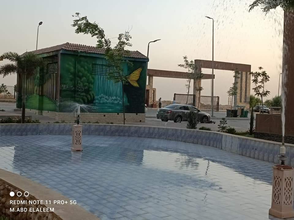 رسوم فنية 10