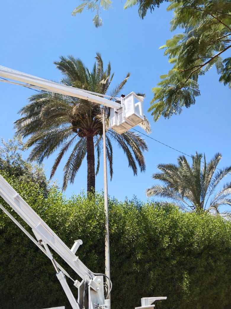 ترشيد الكهرباء