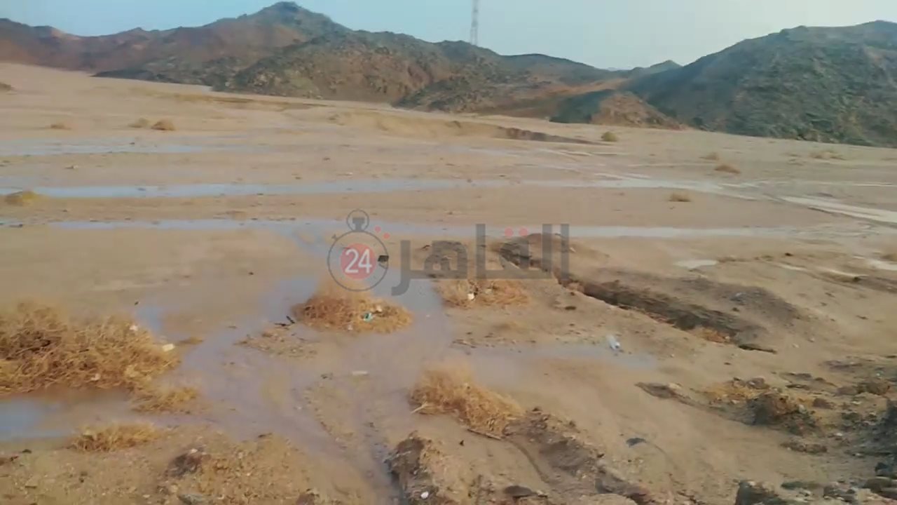 IMG_٢٠٢٢٠٨٣١_١٧٠٩٥٩٣٧