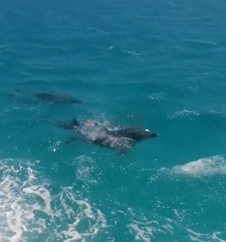 IMG_٢٠٢٢٠٩٠٥_١١٥٢٠٤