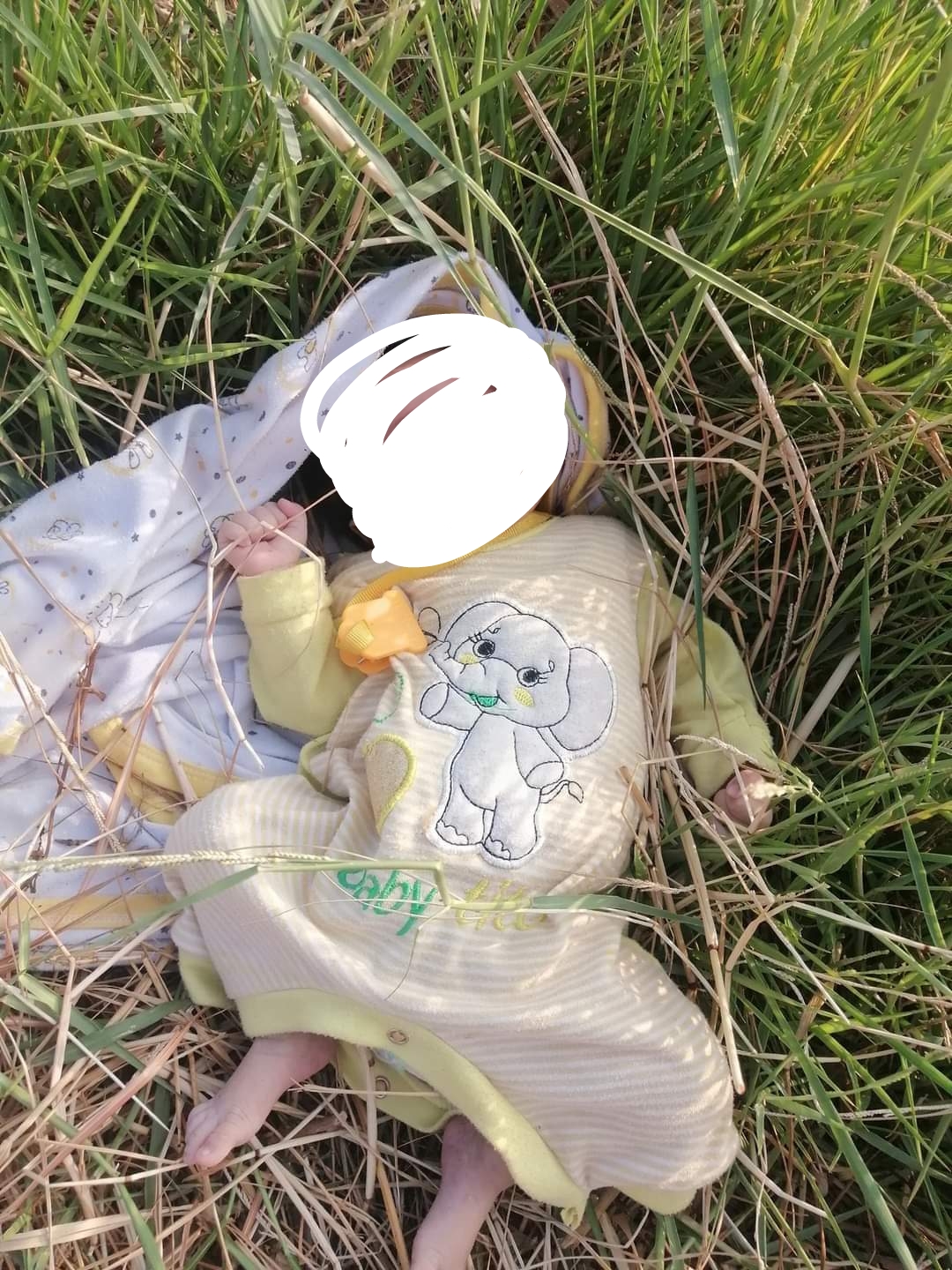 العثور على رضيع وسط الزراعات في الفيوم 