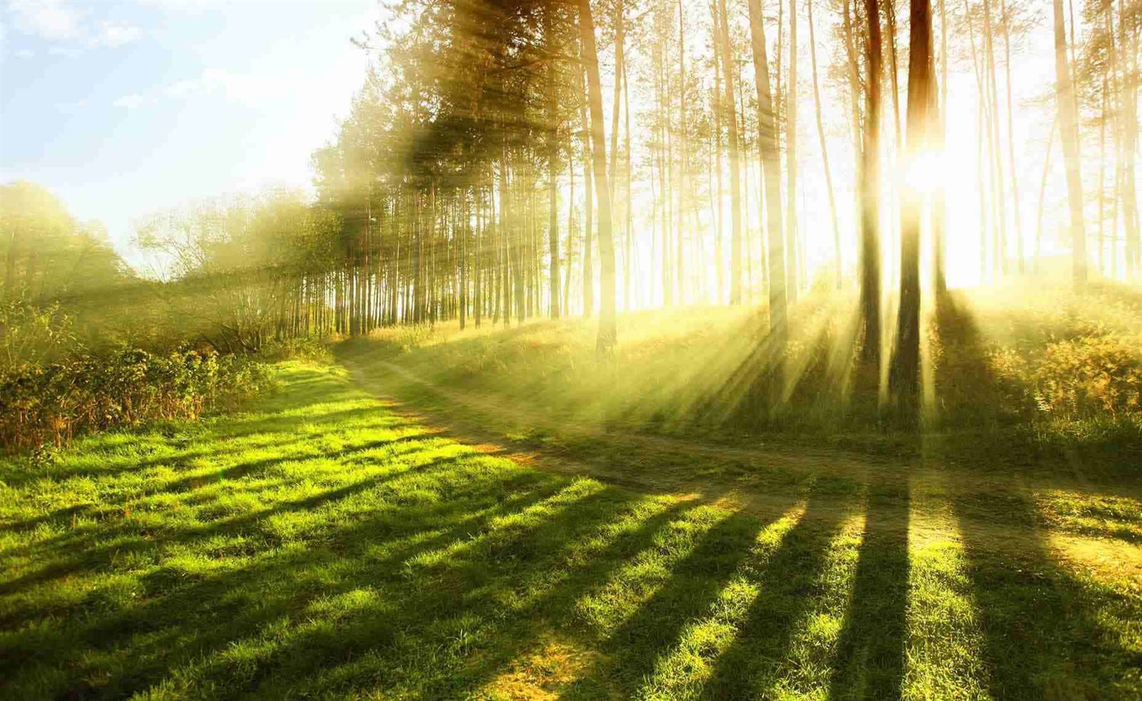 أبعاد روحانية لأذكار الصباح والمساء