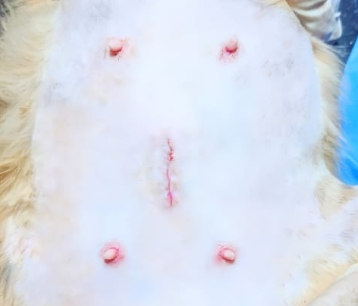 آثار العملية