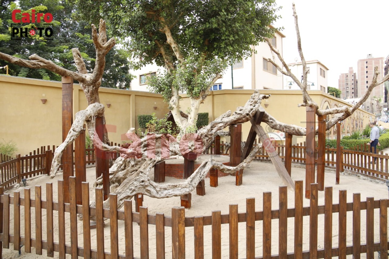 أعمال تطوير شجرة مريم بالمطرية