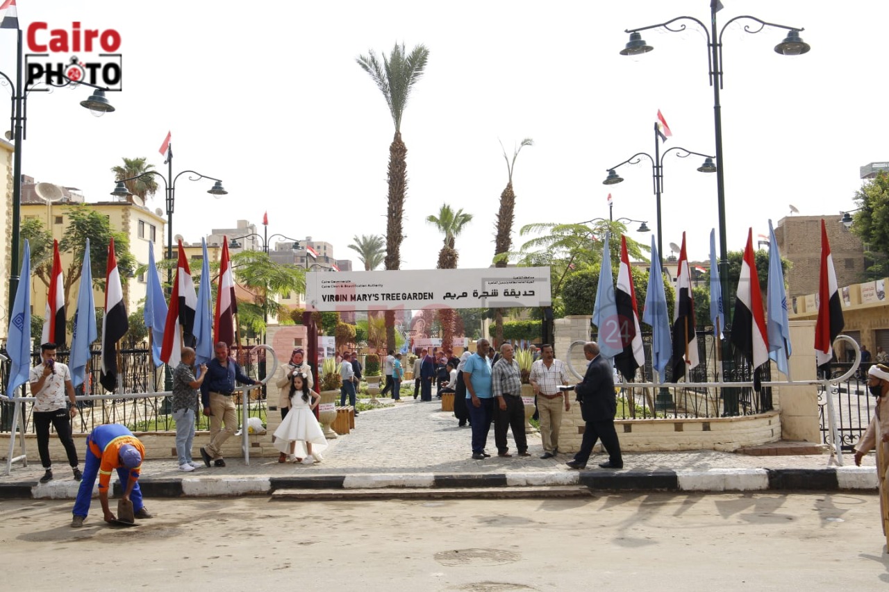 أعمال تطوير شجرة مريم بالمطرية