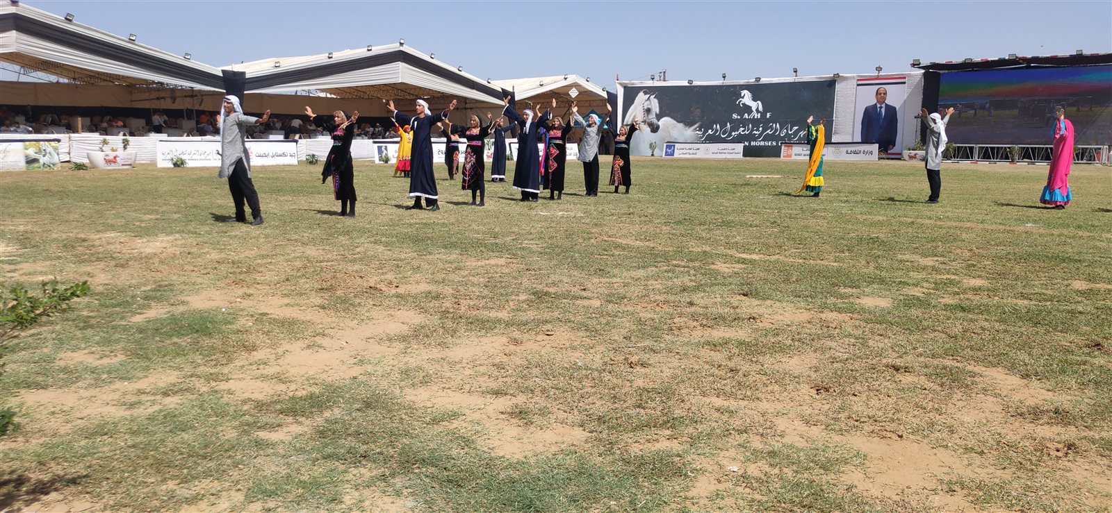 مهرجان الشرقية للخيول العربية الأصيلة 02