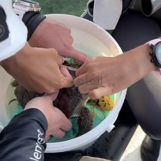 IMG_٢٠٢٢١٠٠٥_١٠٠٧٤٠٤٢