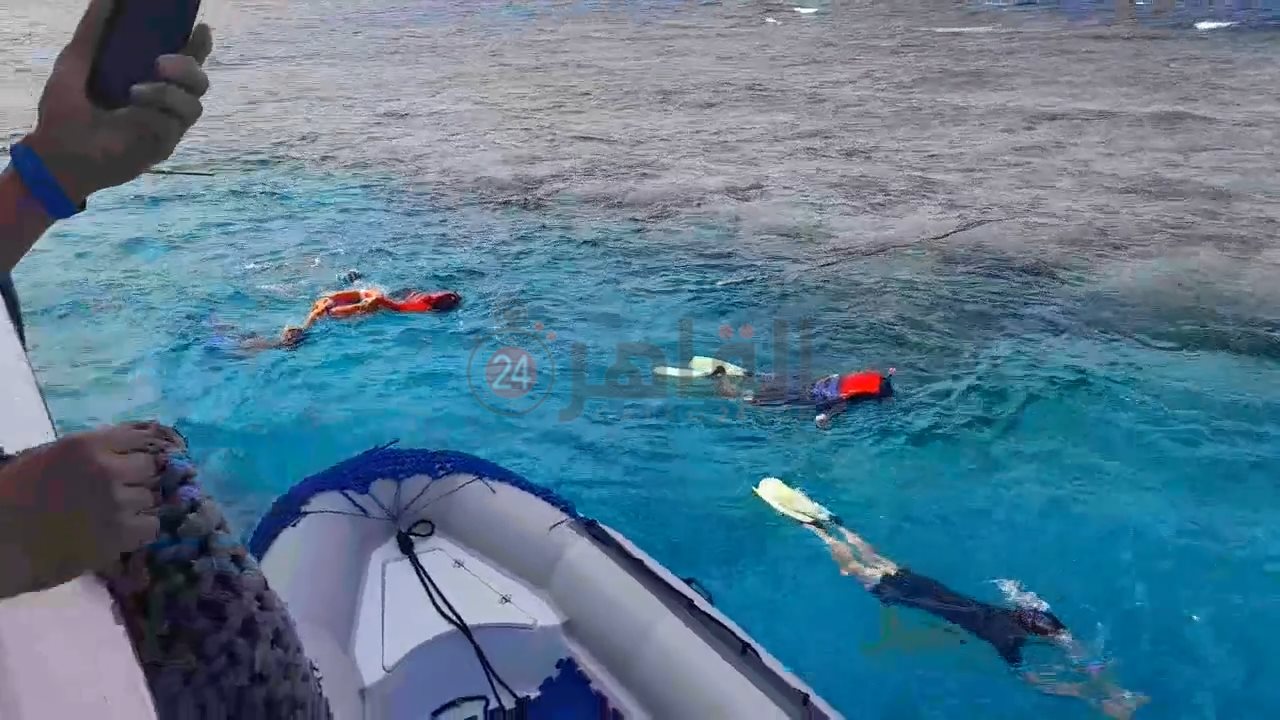 IMG_٢٠٢٢١٠١٩_١٤٢١٥٢٩٣