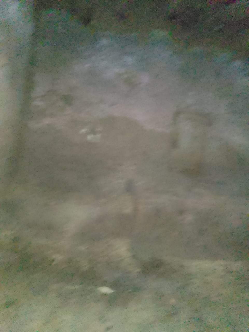 FB_IMG_1666209232666