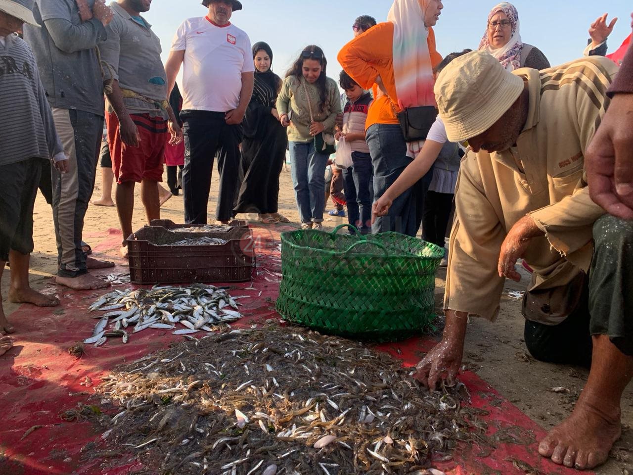 فرز الأسماك علي شاطئ بورسعيد2