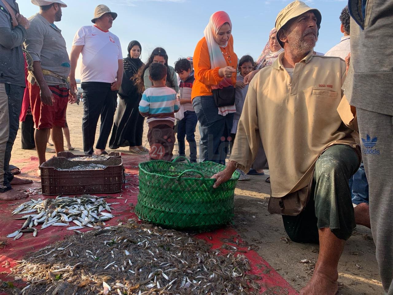 فرز الأسماك علي شاطئ بورسعيد 