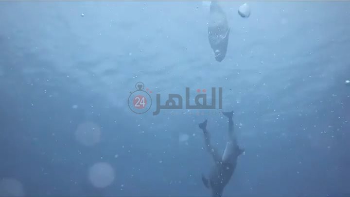 IMG_٢٠٢٢١١١١_١٥٣٠٣٢٧٢