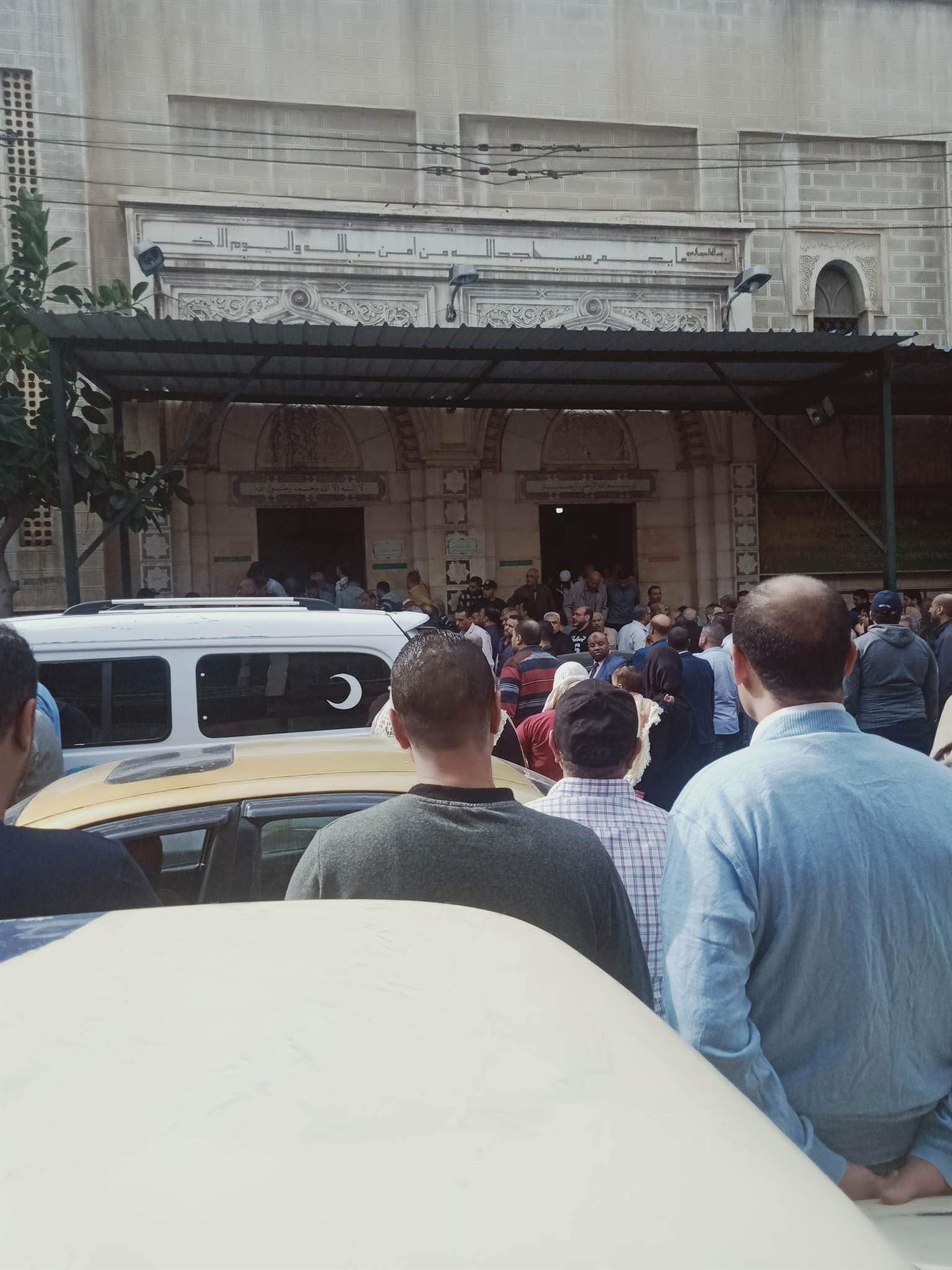 received_654627356037561