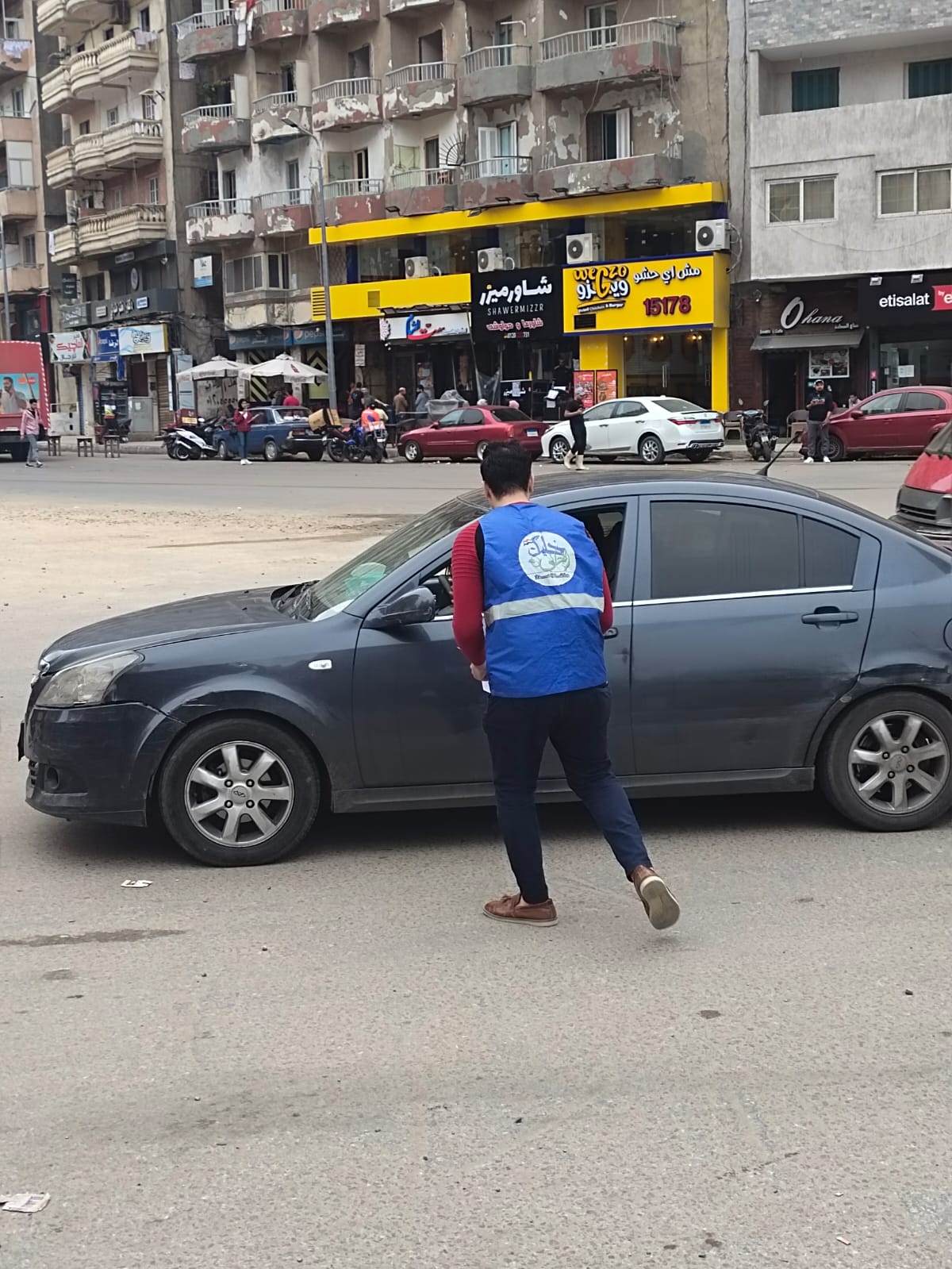 تنظيف شواطئ الإسكندرية من الأكياس البلاستيكية 