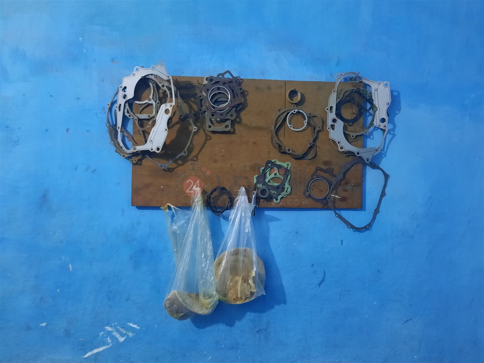 ٢٠٢٢١١١٤_١٦١٤٤٥