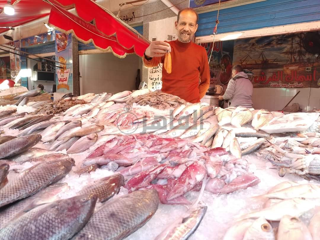 سوق الأسماك النموذجي ببورسعيد 19