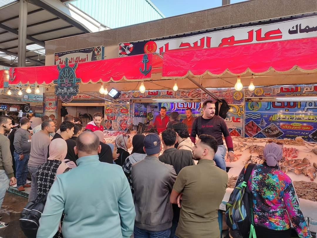 سوق الأسماك النموذجي ببورسعيد 8
