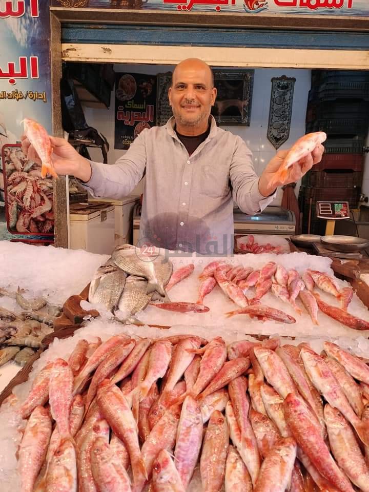 سوق الأسماك النموذجي ببورسعيد 7