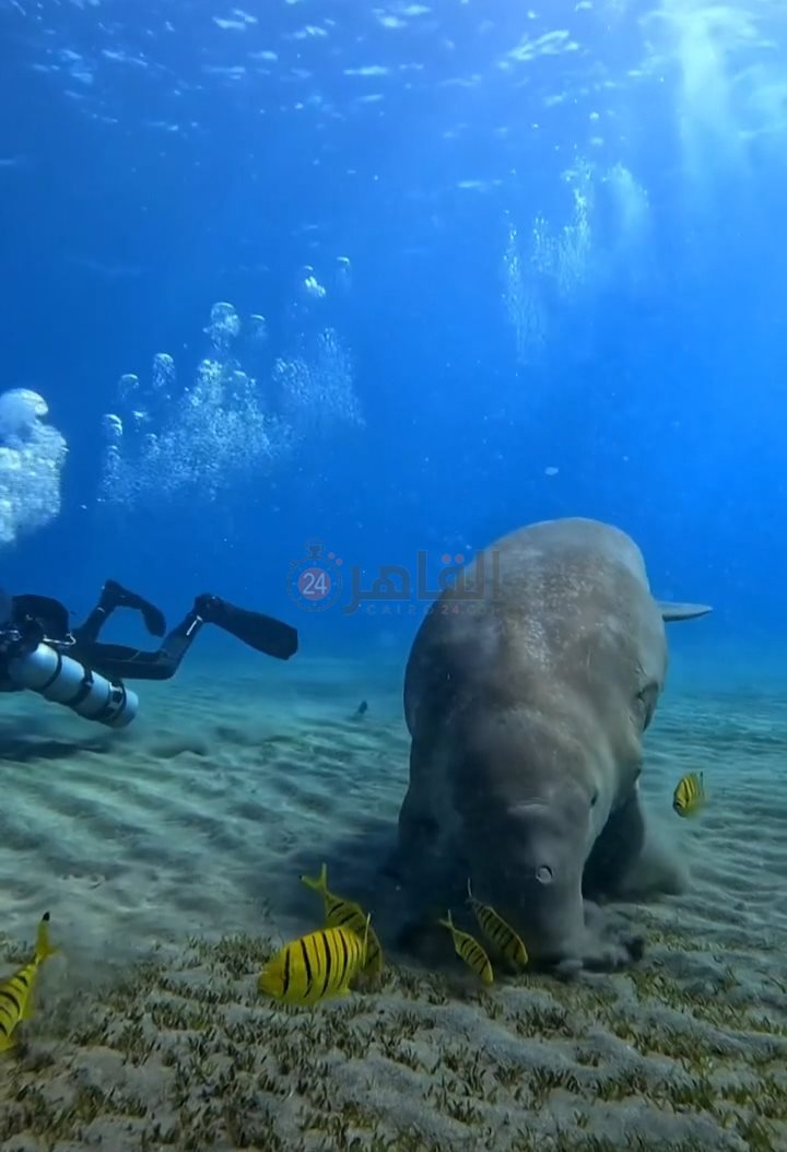 IMG_٢٠٢٢١١٢٢_٠٩٣١٠٥١٤