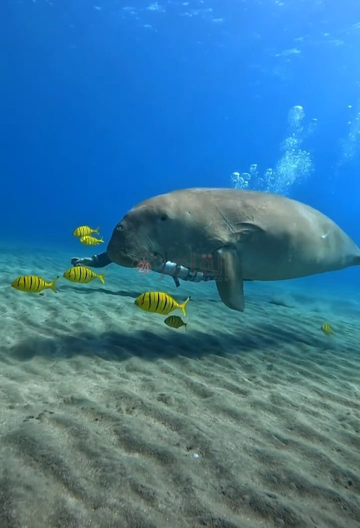 IMG_٢٠٢٢١١٢٢_٠٩٣٠٥٦٣٠