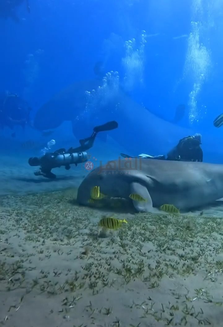 IMG_٢٠٢٢١١٢٢_٠٩٣٠٤٢٥٩