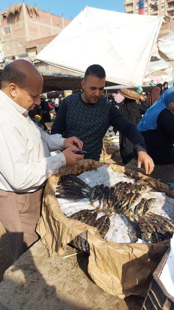 جانب من الحملات 04