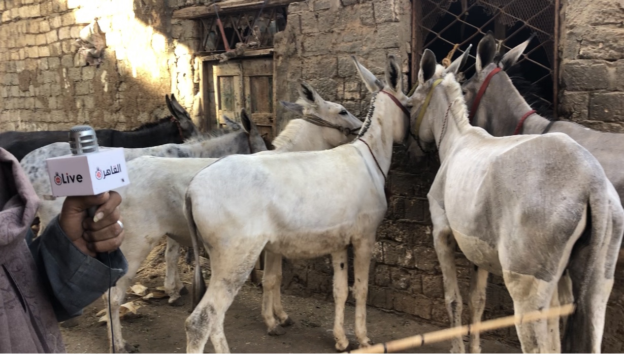 228BAADF-34A0-4716-ACE7-C103E56D7066