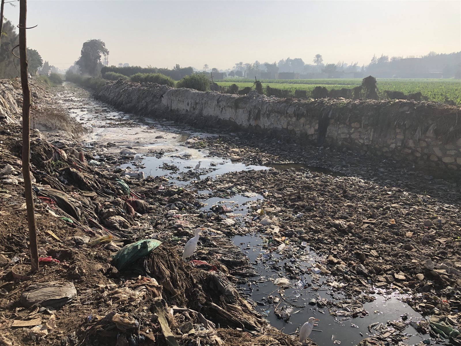 مصرف اجهور بطوخ 