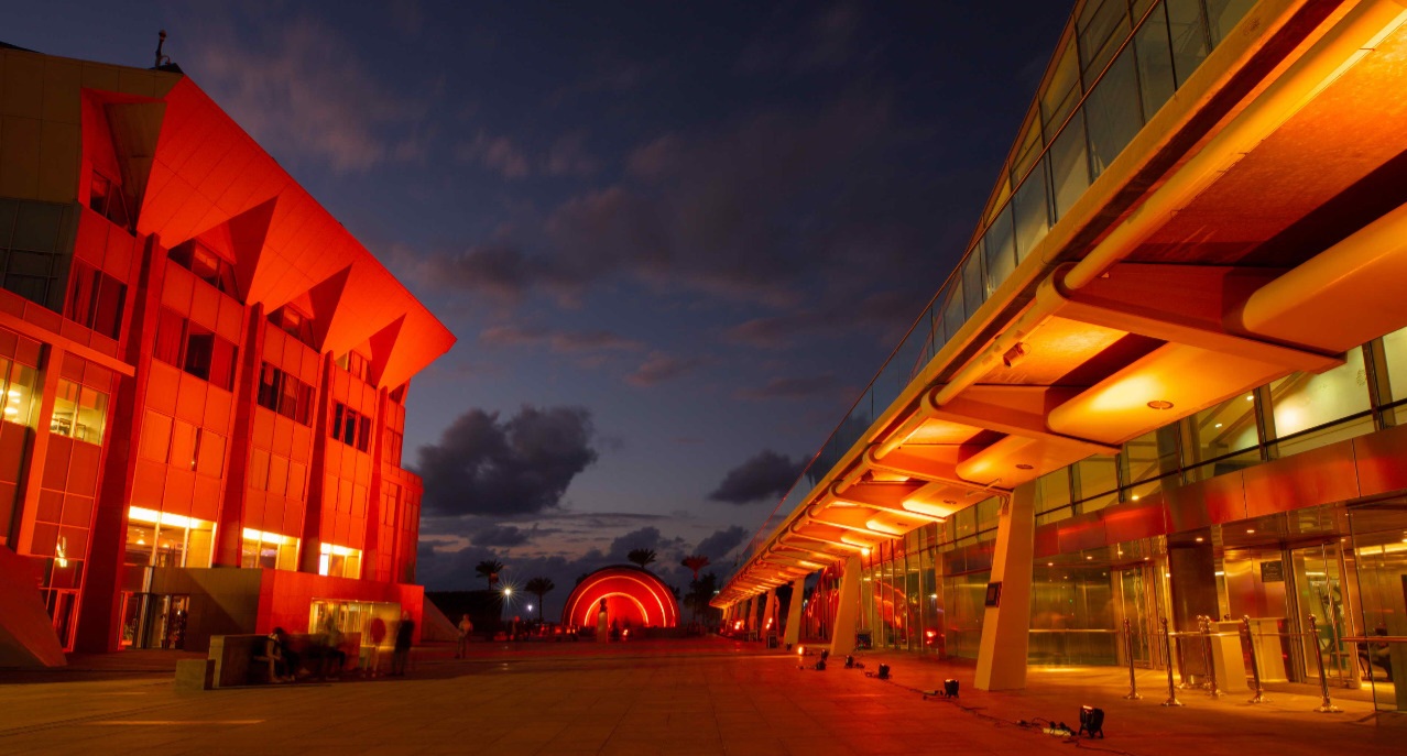 فاعلية مكتبة الإسكندرية لمناهصة العنف ضد المرأة