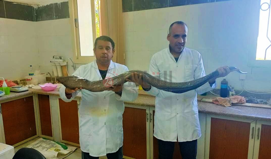 IMG_٢٠٢٢١٢١٥_١٣٥٢١١