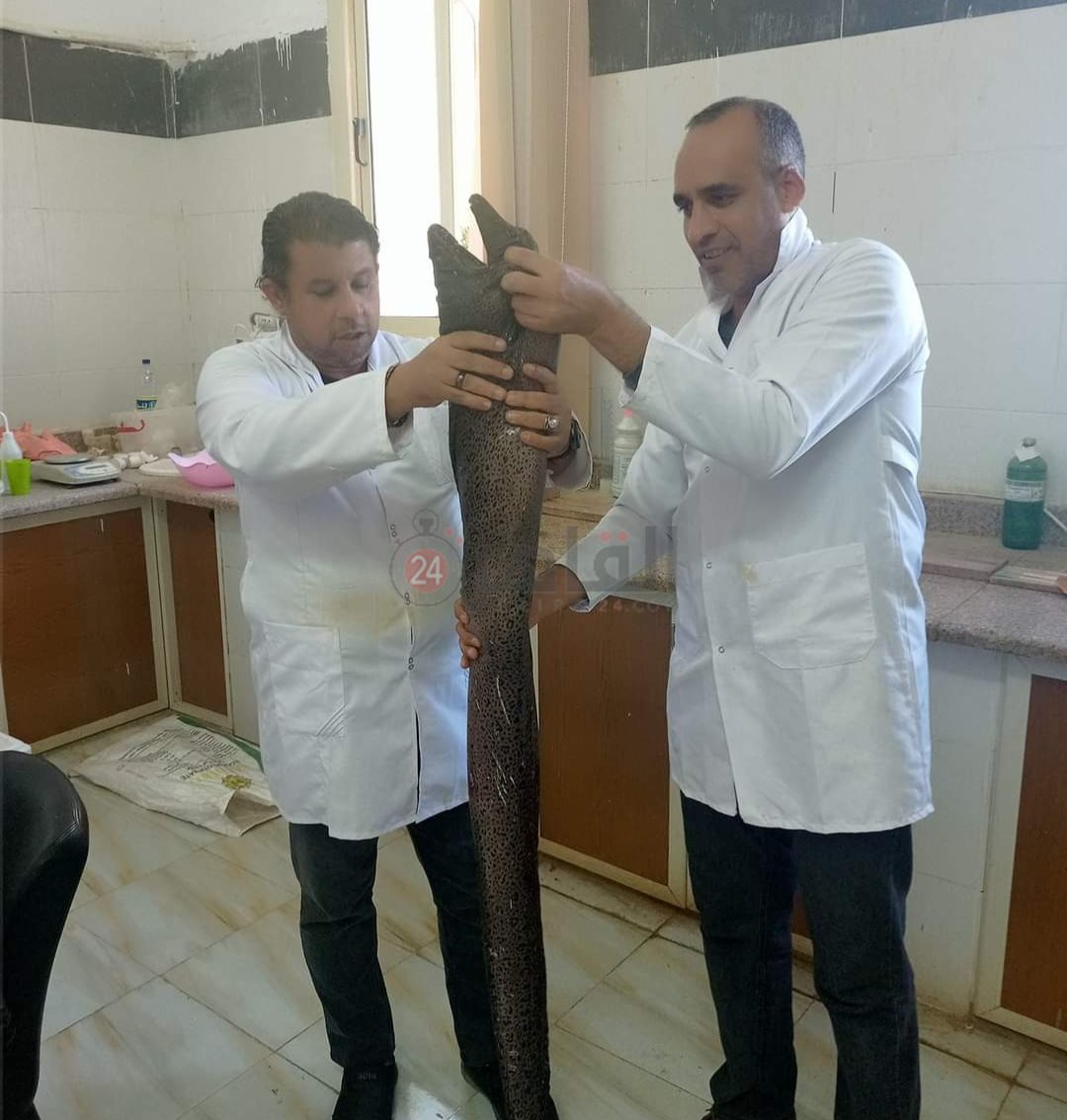 IMG_٢٠٢٢١٢١٥_١٣٥١٤٠