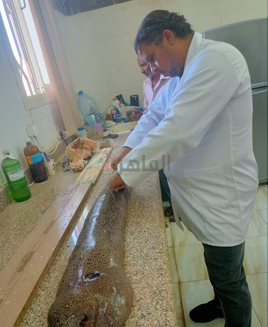 IMG_٢٠٢٢١٢١٥_١٣٥١٢٤