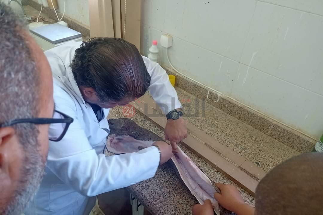 IMG_٢٠٢٢١٢١٥_١٣٥١٠٣