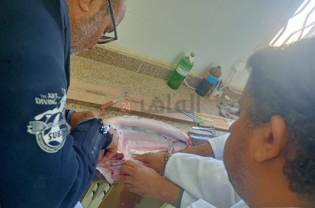 IMG_٢٠٢٢١٢١٥_١٣٥٠٤٤