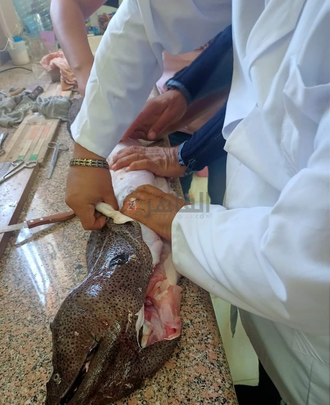 IMG_٢٠٢٢١٢١٥_١٣٥٠٣٢