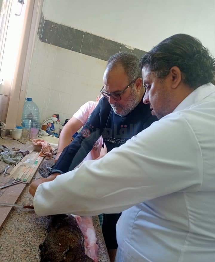 IMG_٢٠٢٢١٢١٥_١٣٥٠١٩