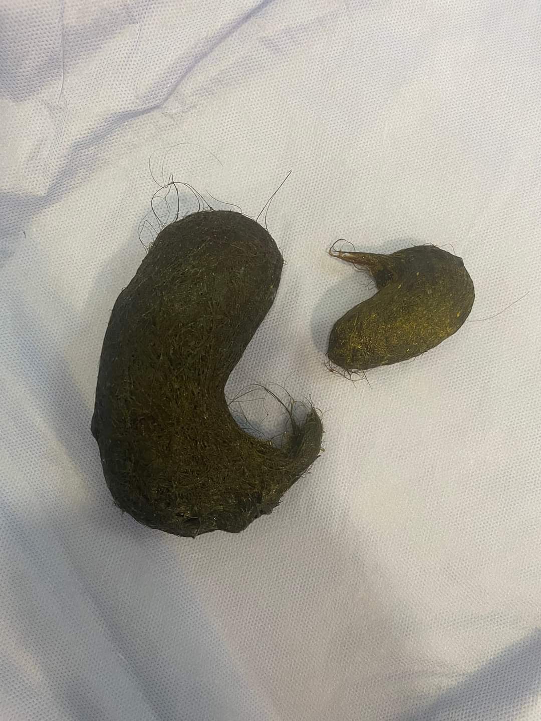 FB_IMG_1671223477321