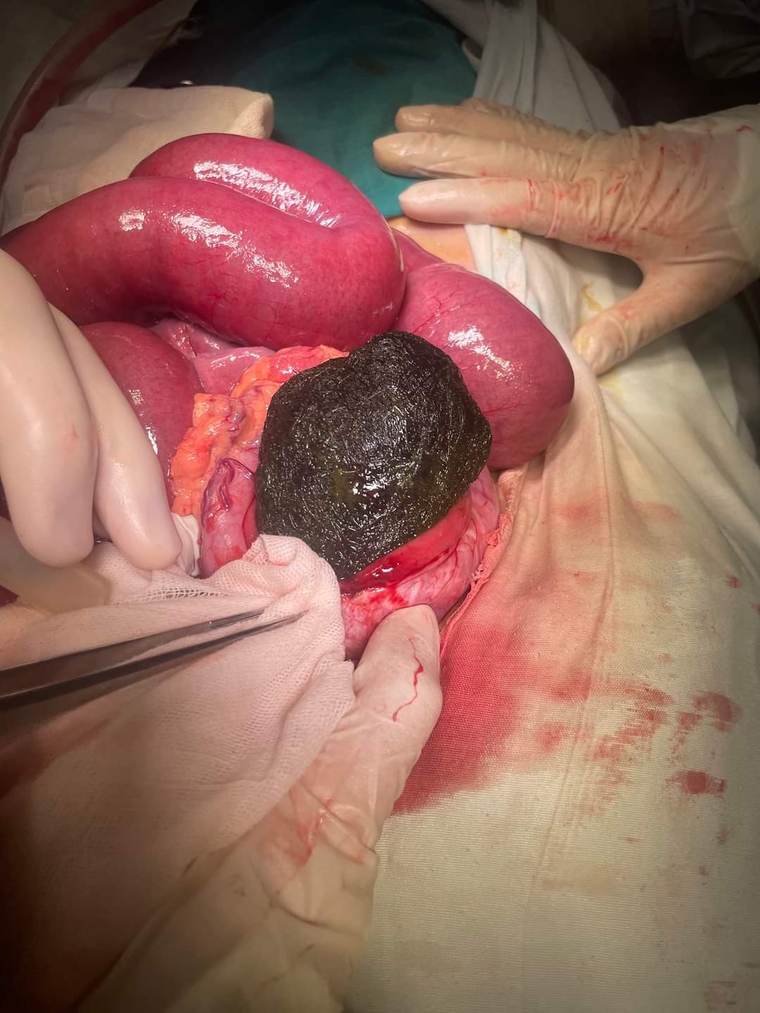 FB_IMG_1671223474121