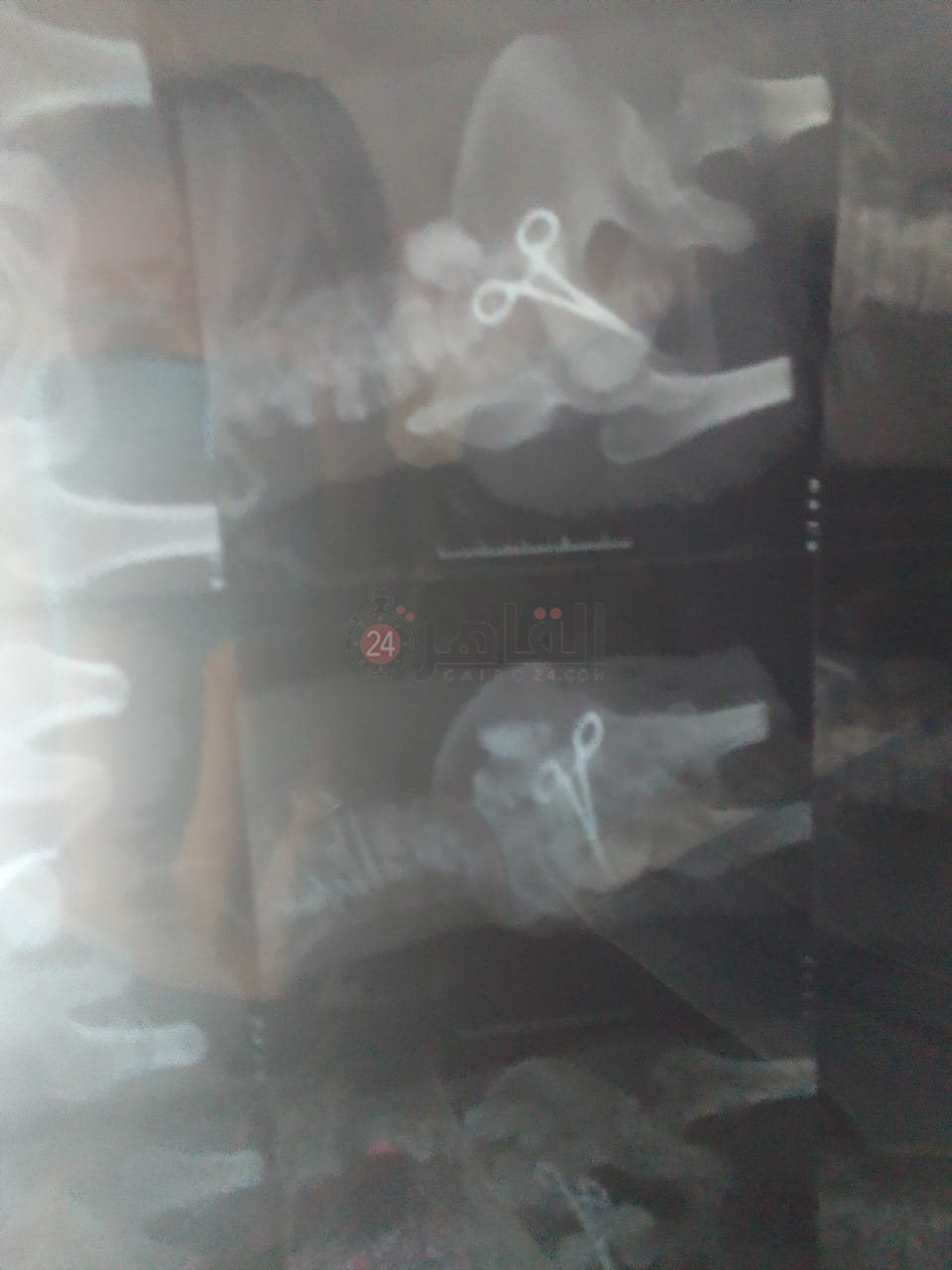 WhatsApp Image 2023-01-26 at 13.52.28