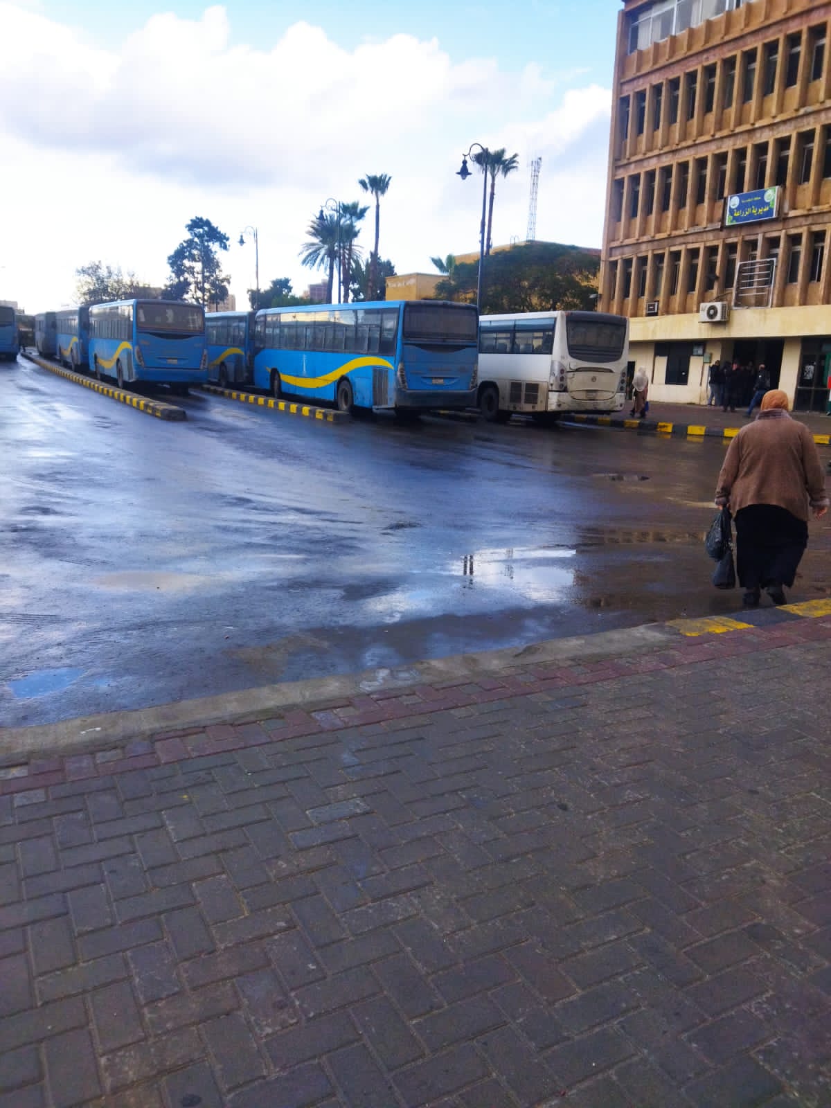 أمطار نوة الكرم تضرب الإسكندرية 