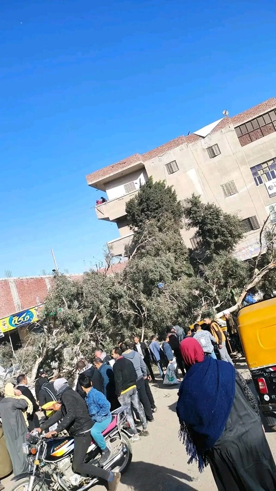 سقوط شجرة في فاقوس 02