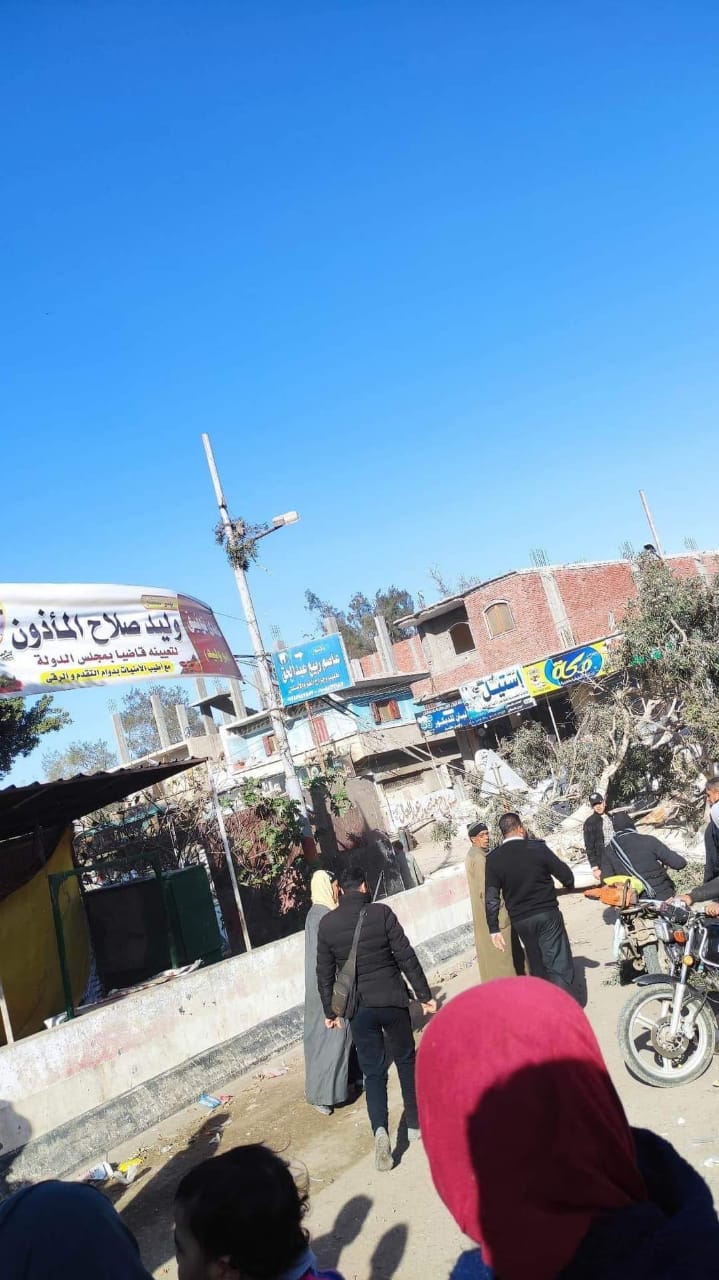 سقوط شجرة في فاقوس 04