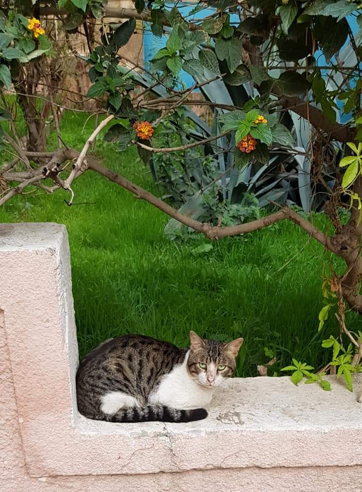 FB_IMG_1676399062446