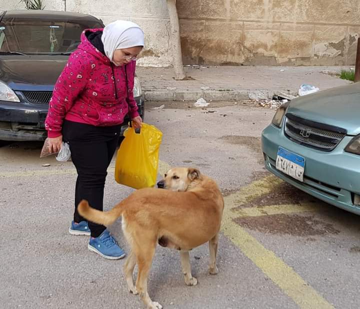 FB_IMG_1676399024839