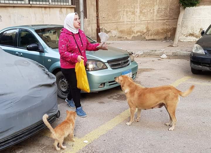 FB_IMG_1676399018463